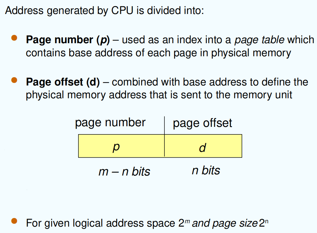 image-20241120144532930