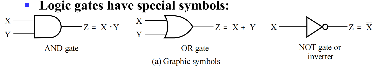 image-20250226103007663